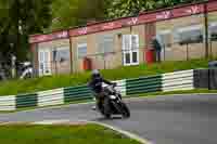 cadwell-no-limits-trackday;cadwell-park;cadwell-park-photographs;cadwell-trackday-photographs;enduro-digital-images;event-digital-images;eventdigitalimages;no-limits-trackdays;peter-wileman-photography;racing-digital-images;trackday-digital-images;trackday-photos